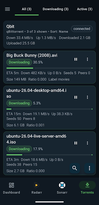 Servarr Companion qBittorrent screenshot